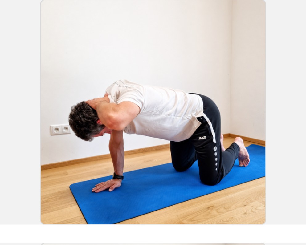 Quadruped T-Spine Rotation Ausgangsposition