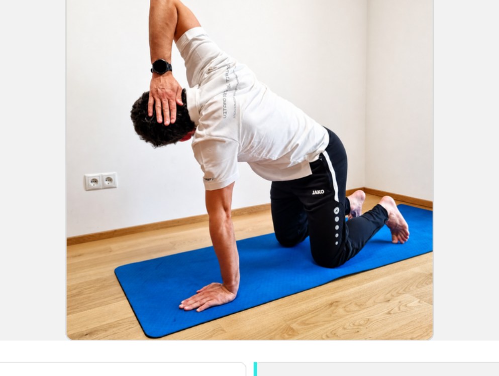 Quadruped T-Spine Rotation Endposition
