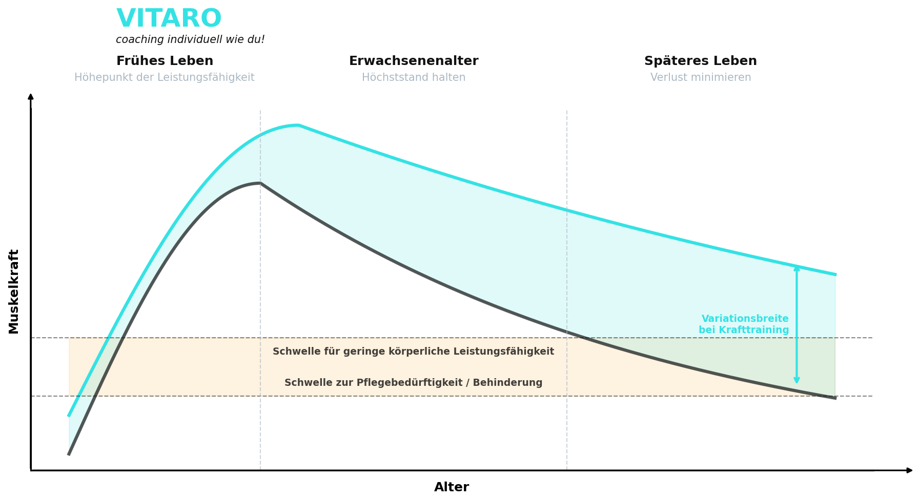 VITARO Diagramm: Kraftverlust und Muskelkraft im Alter – Sarkopenie