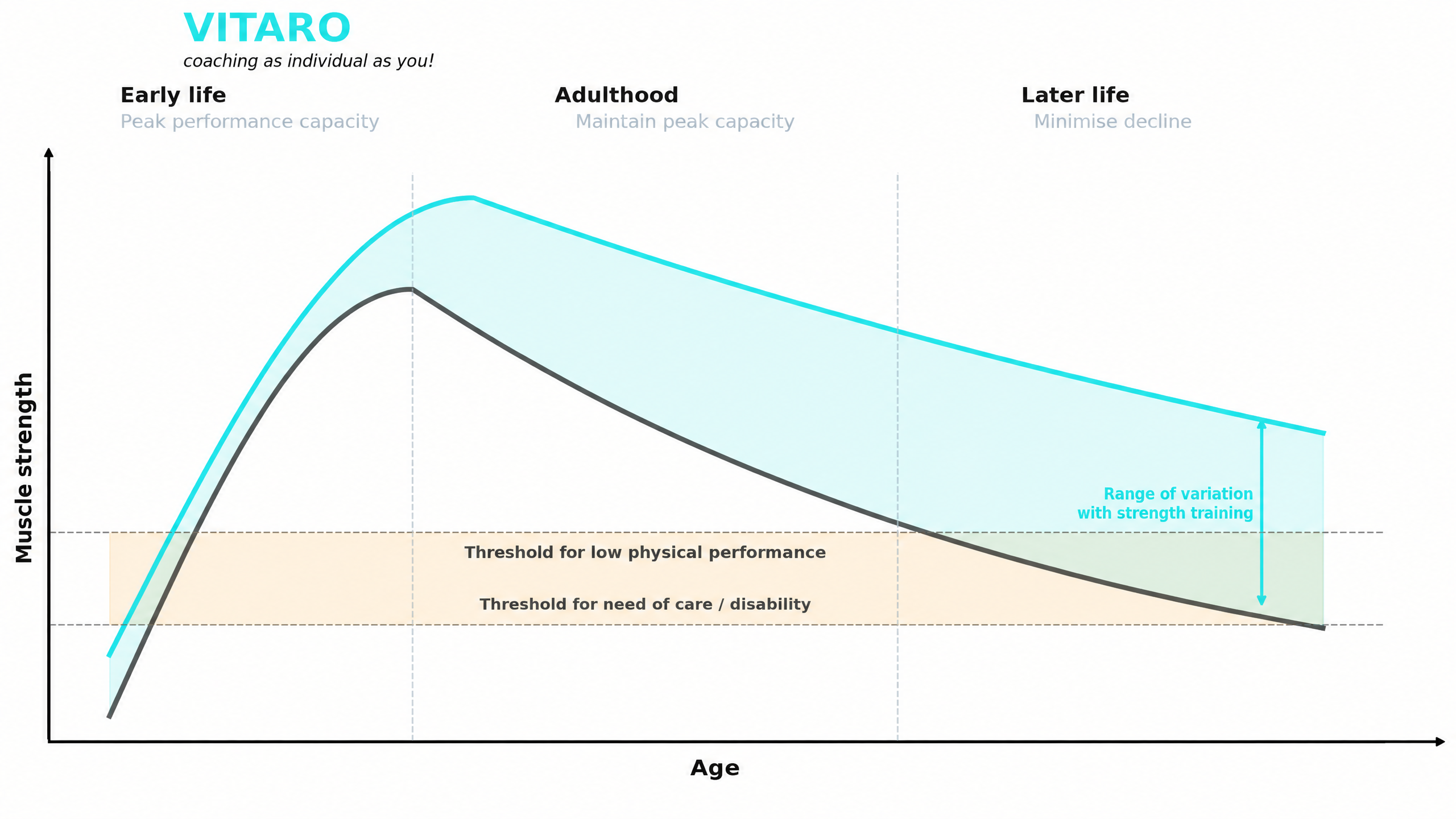 VITARO diagram: strength loss and muscle strength with age β sarcopenia